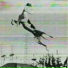 Athlete Whippet