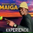 Mamadou Lamine Maiga