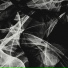 Ólafur Arnalds