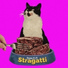 Stragatti