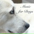 Dog Whisper & Pet Care Music Therapy