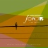 Rodrigo Mendonça, Sonar Ensemble