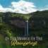 Rainforest, Rainfall, Nature Sounds Paradise