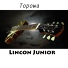 Lincon Junior
