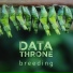 Data Throne