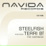 Steelfish feat. Terri B!