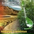 La Típica