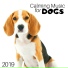 Dogs Accessories
