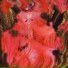 Xera Vera
