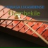 Ithwasa likaMbense