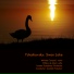 London Symphony Orchestra, Anatole Fistoulari