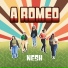 Nesh