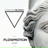 Flowmotion
