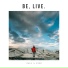 Fall & Rise