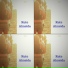 Rute Almeida