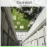 Olifant feat. Kiki Lintanff feat. Kiki Lintanff