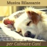 Cani Accessori