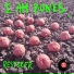I Am Bones