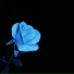 Inam