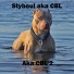Stybeul