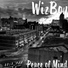 WizBoy