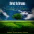 New Age Relaxing Music by Direct to Dreams