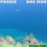 Prosis