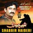 Shabbir Haidri