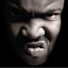 (BLP)(33-37Hz)Gorilla Zoe