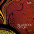 Bluebook