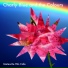 Charly Blue and the Colours