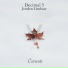 Decimal 5, Jorden Lindsay