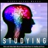 Study Alpha Waves