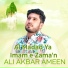 Ali Akbar Ameen