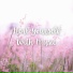 Relaxing BGM Project, Tamana Yaguchi