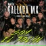 Gallada Mx
