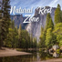 Rest & Relax Nature Sounds Artists