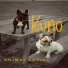 Kuno