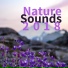 Nature Sounds Clock