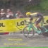 Zout Lacosta