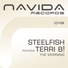 Steelfish feat. Terri B! feat. Terri B!