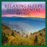 Relaxing Sleepy Instrumental Music