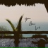 SYPS