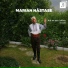 Marian Nastase