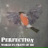 Perfection