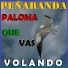 Peñaranda