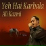 Ali Kazmi