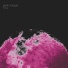 Pink Moon
