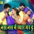 Salim Sekhawas, Silpa Bidawat