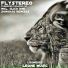 Flystereo
